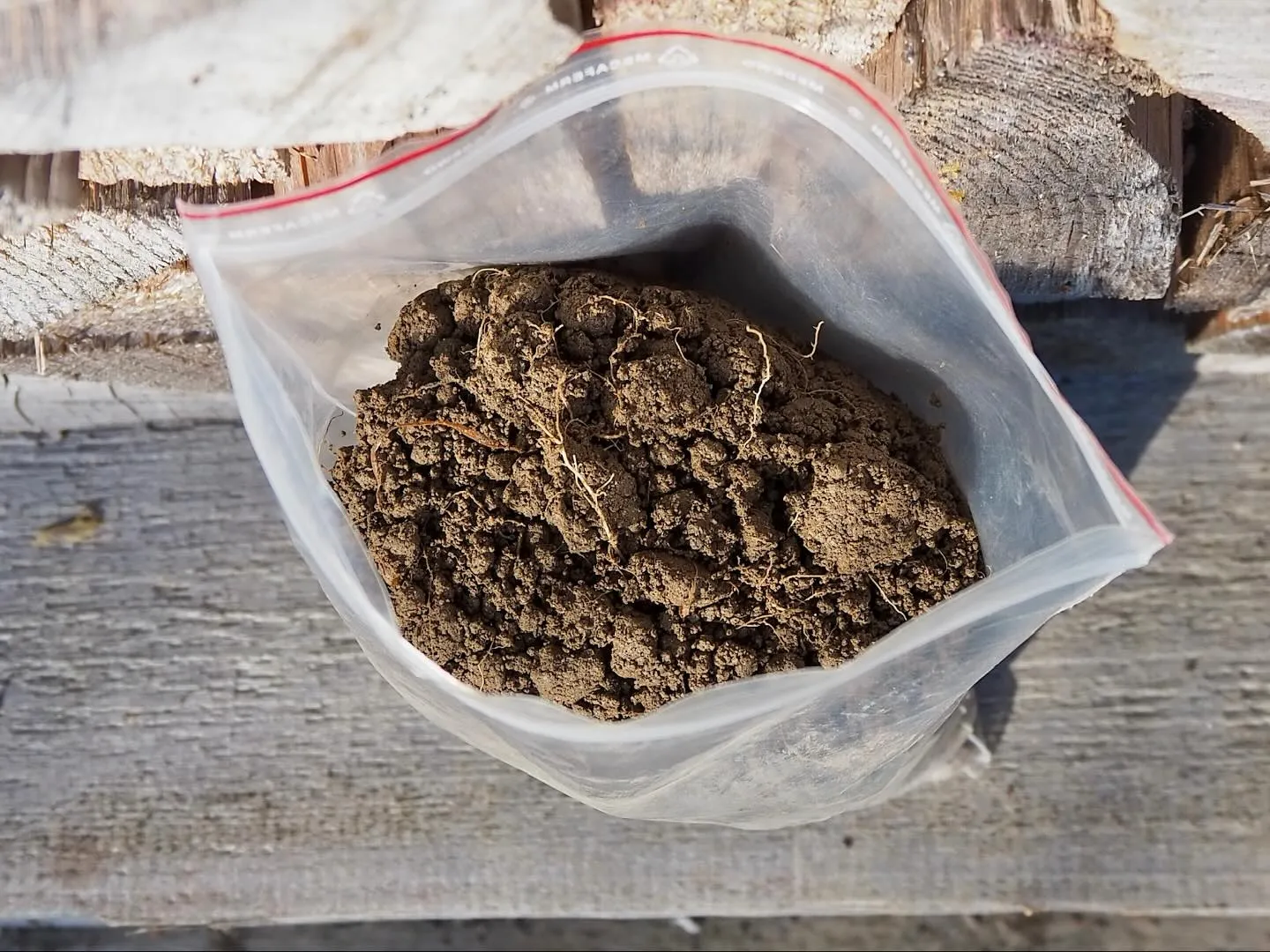 Standortwahl – Die zweite Herausforderung