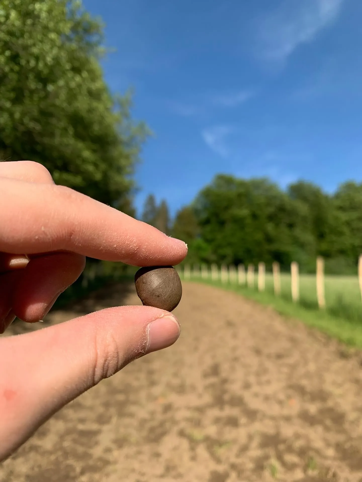 Die Aussaat – Der erste Meilenstein